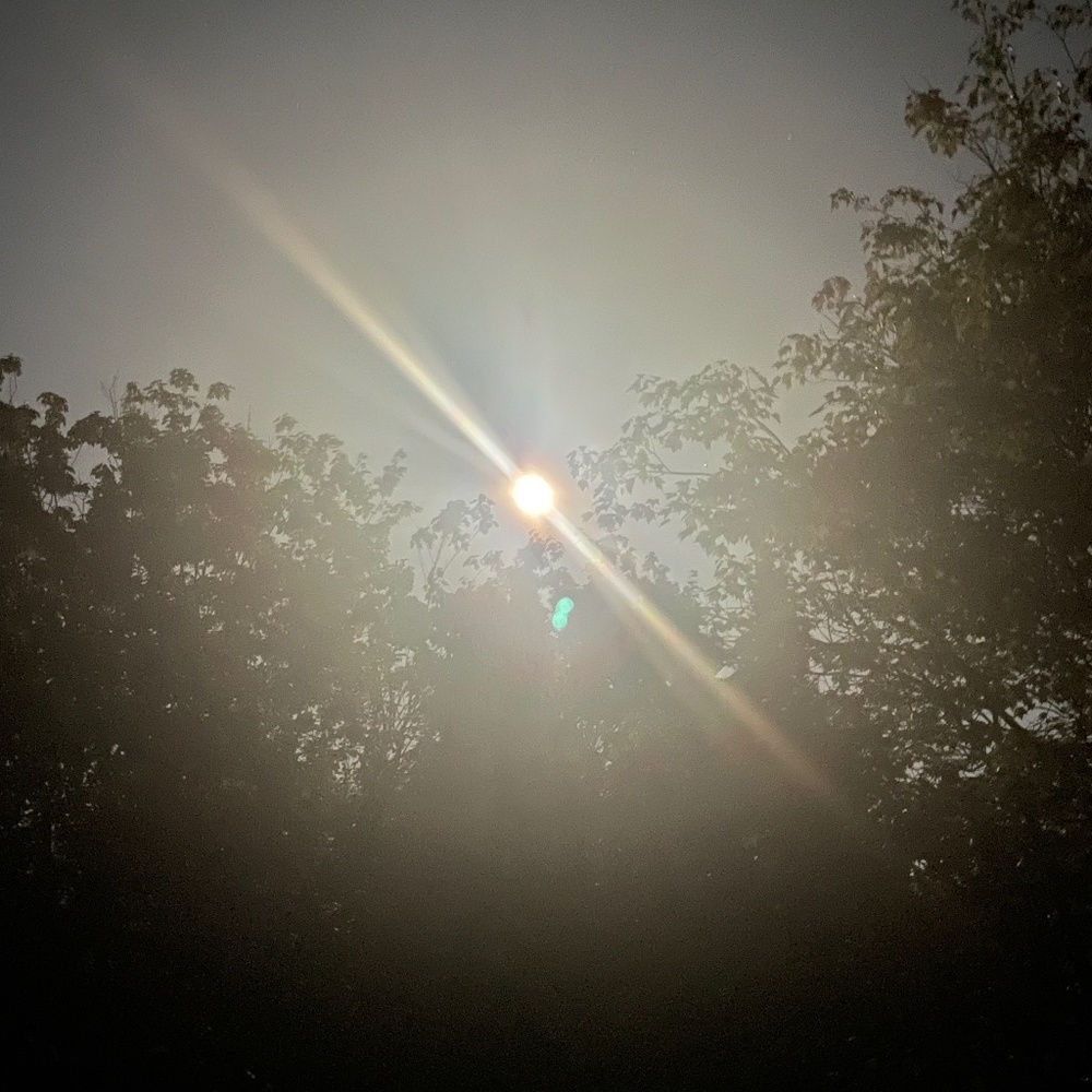 Meet your Posher, Abbi